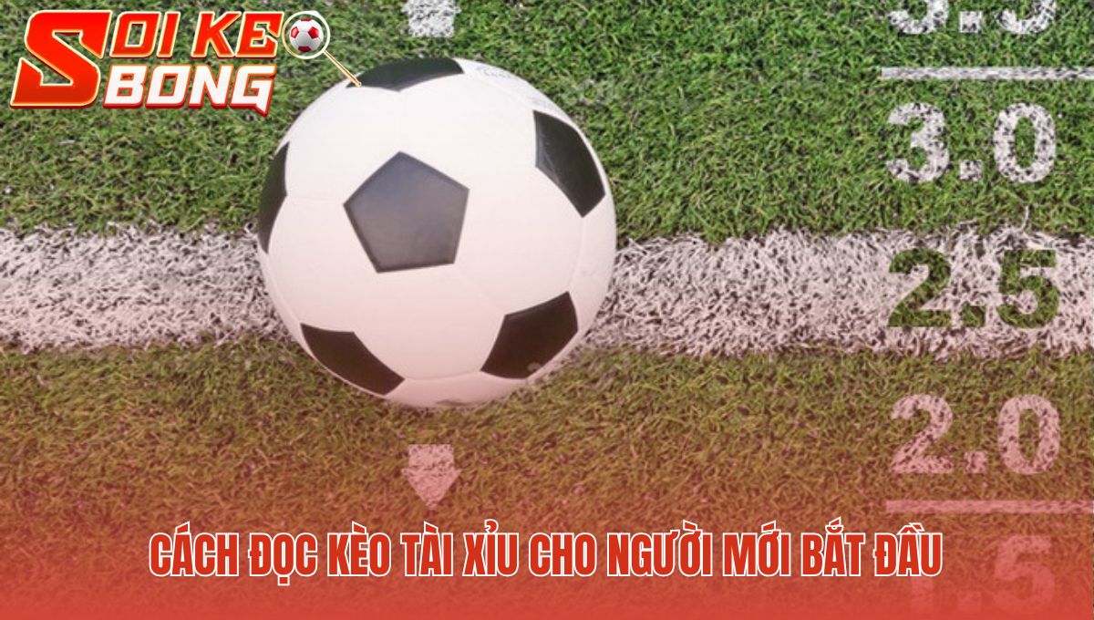 Kèo Tài Xỉu Là Gì - Giải Thích Tỷ Lệ Bóng Đá Hôm Nay 2 Giải mã các thông số thông dụng cho người mới