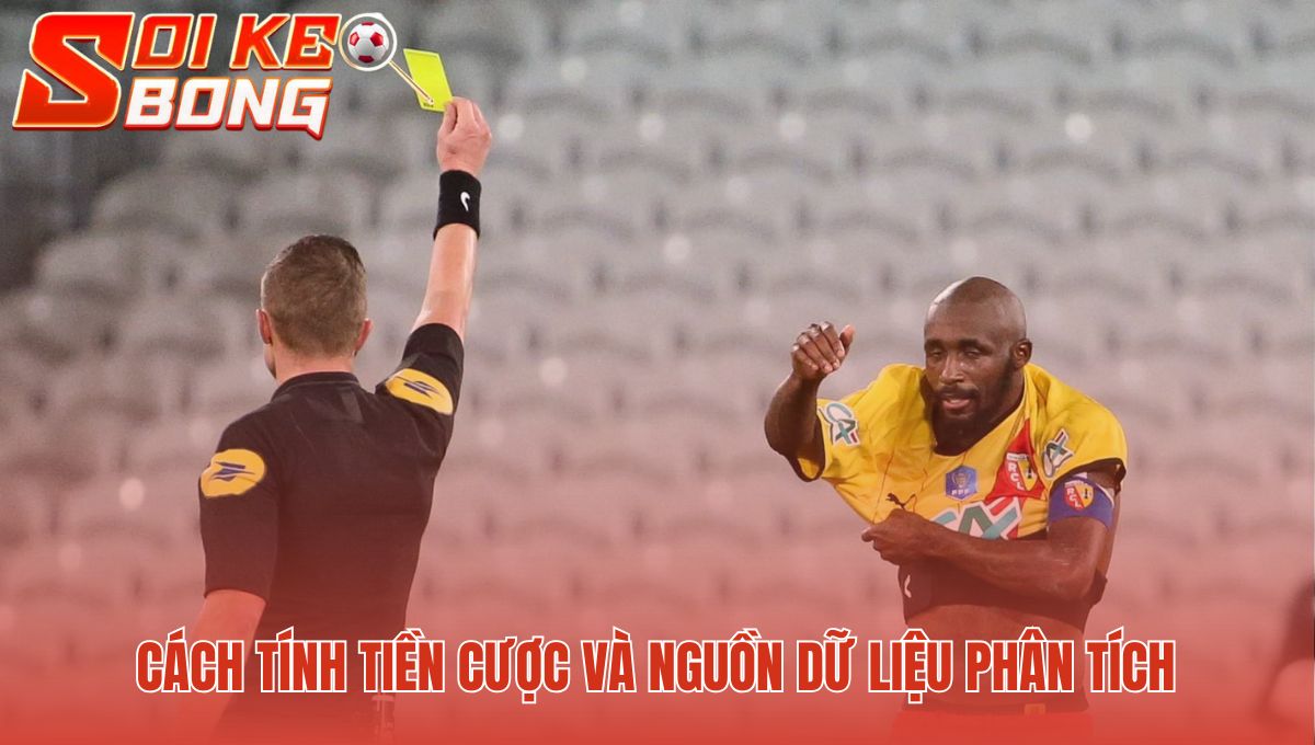 Soi kèo thẻ phạt cần dữ liệu uy tín và công thức tính tiền