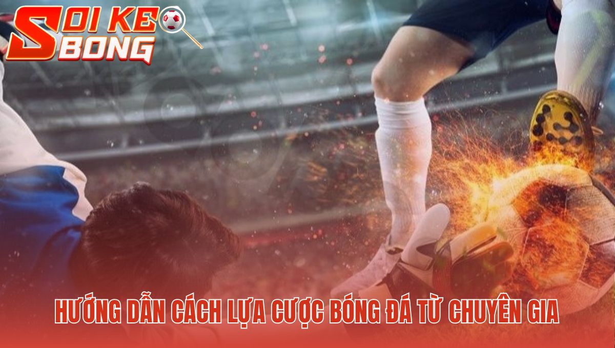 Kèo lựa là gì? Áp dụng phương pháp phân tích vào tiền hiệu quả