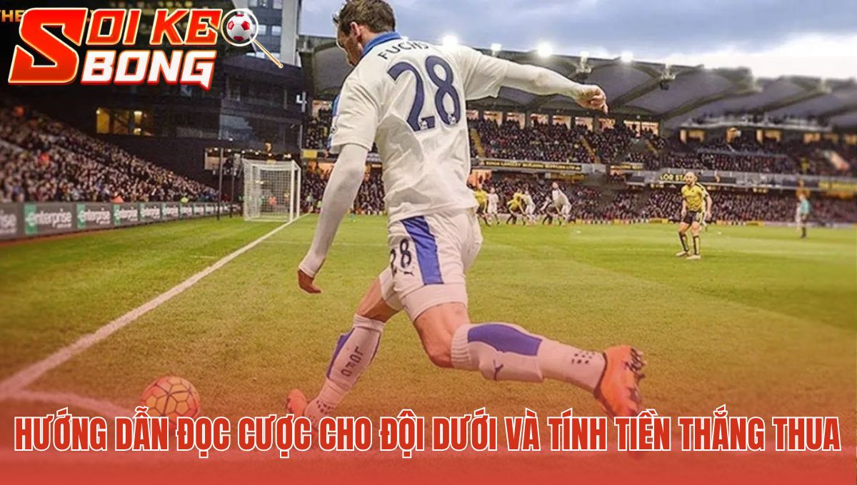 Kèo Dưới Là Gì? Giải Thích Cách Đọc Và Tính Tiền Cược 2 Đọc cược đội dưới qua ví dụ tính tiền thắng thua thực tế