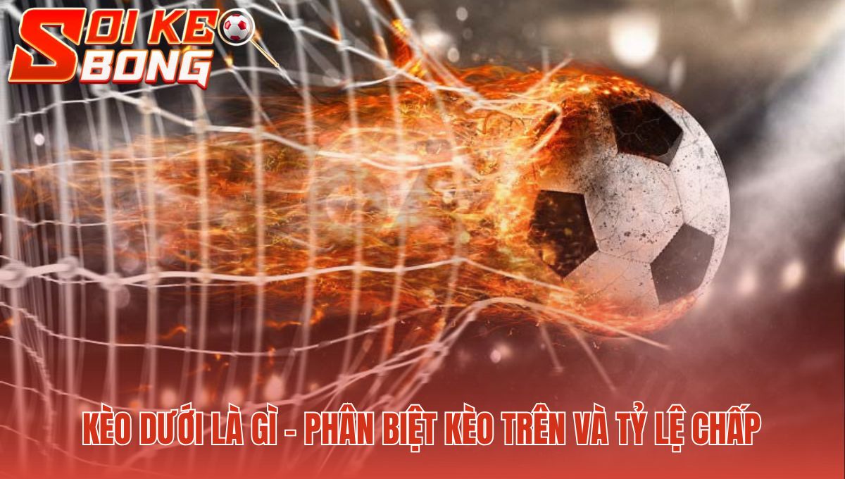 Kèo Dưới Là Gì? Giải Thích Cách Đọc Và Tính Tiền Cược 1 Kèo dưới là gì? giải thích đội được chấp và lợi thế ảo