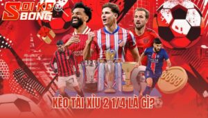 Kèo Tài Xỉu 2 1/4 Là Gì