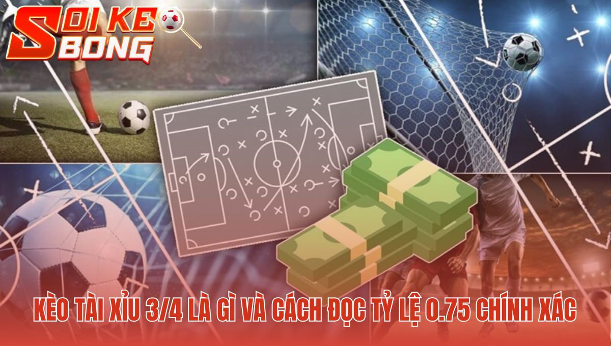 Kèo Tài Xỉu 3/4 Là Gì - Hướng Dẫn Đọc Cược 0.75 Chi Tiết 1 Kèo tài xỉu 3/4 là gì với kịch bản thắng hoặc thua nửa tiền