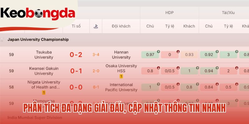 Giới thiệu về webiste soi kèo bóng 3 phan tich da dang giai dau cap nhat thong tin nhanh