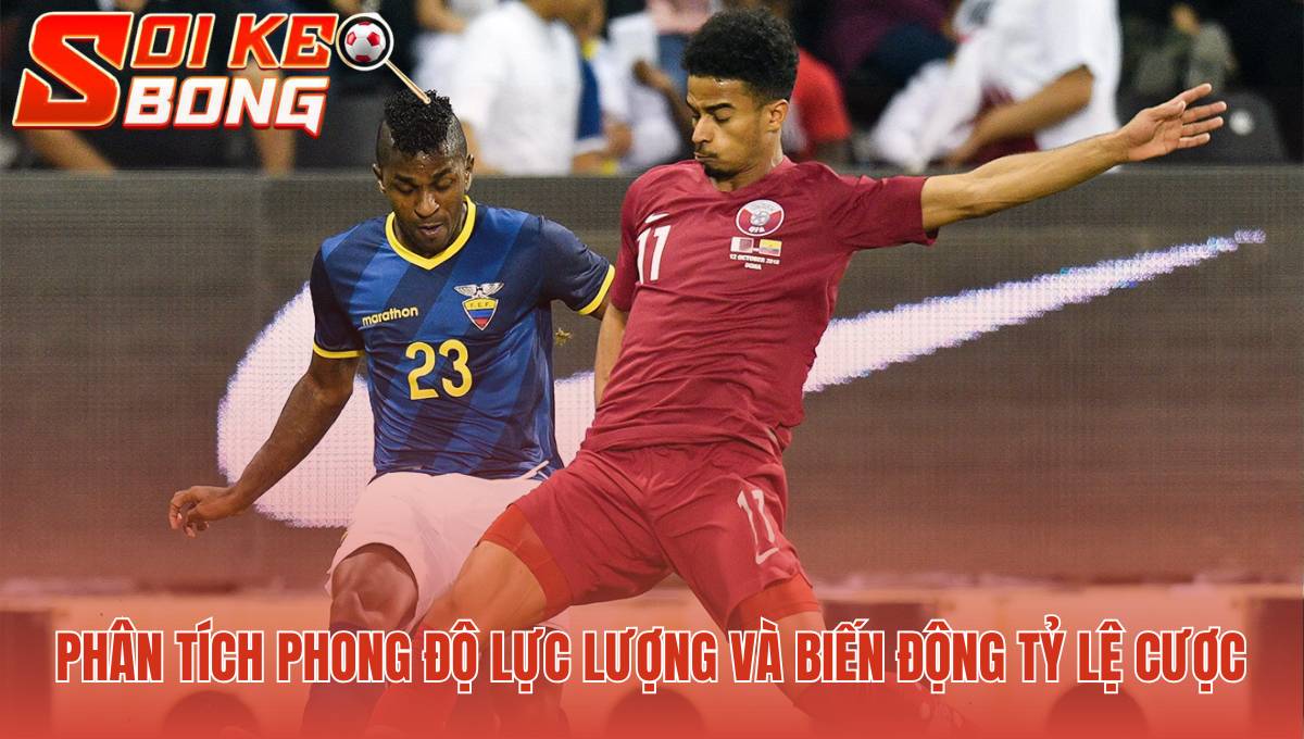 Cách soi kèo bóng ứng dụng quy trình phân tích năm bước chuyên sâu