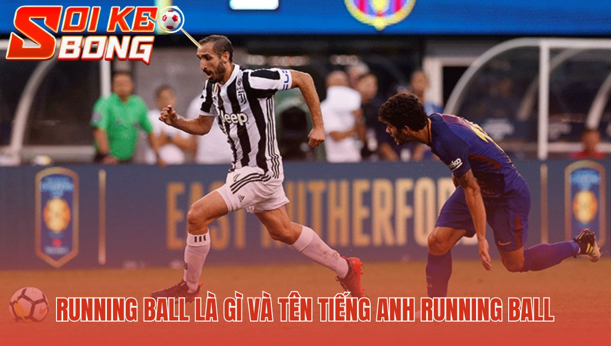 Kèo Rung Là Gì - Hướng Dẫn Chơi Và Bí Quyết Thắng 1 Kèo rung là gì giải thích bản chất cược trong trận theo thời gian thực