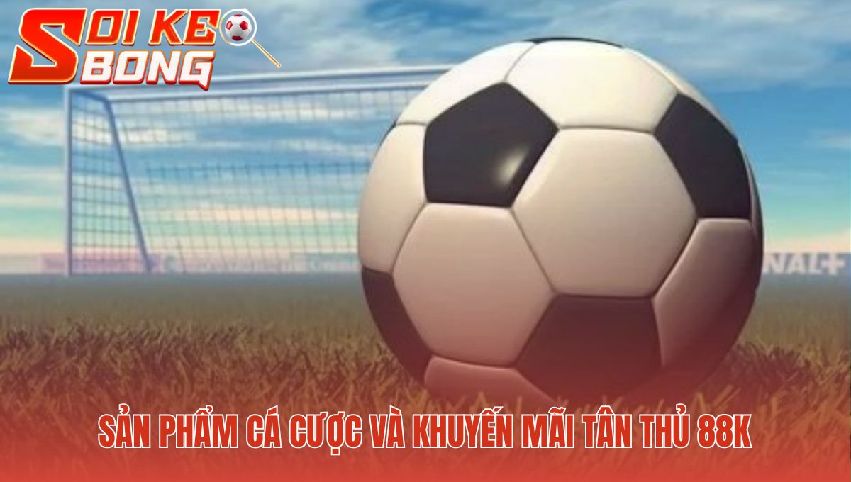 Vin88 - Đánh Giá Uy Tín Và Cảnh Báo Lừa Đảo Mới Nhất 2 Sảnh game đa dạng và ưu đãi 88k dành cho người chơi mới