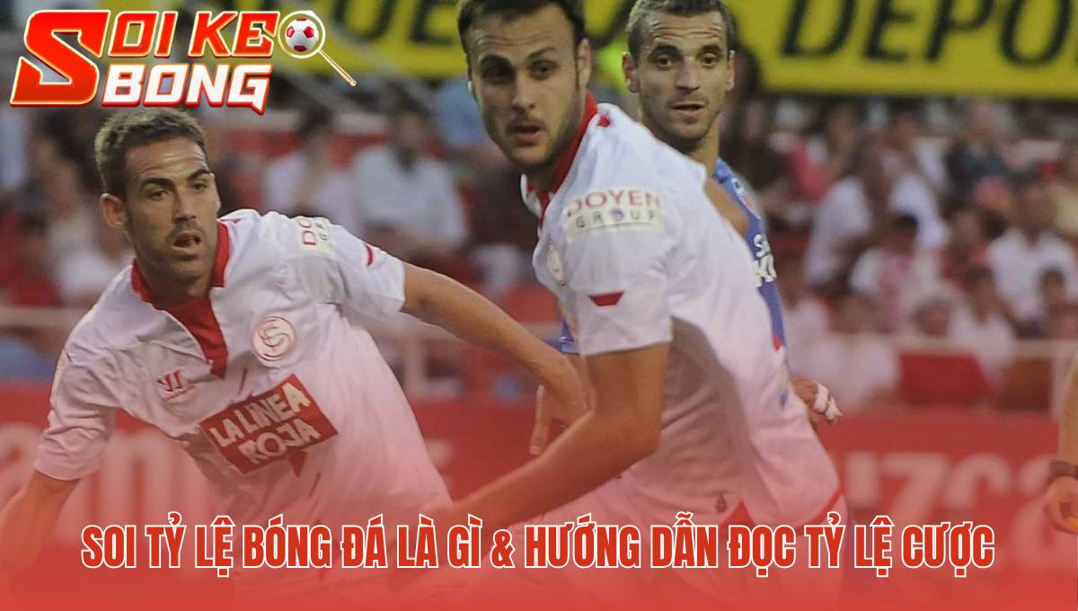 Hiểu rõ ba loại cược Châu Á Âu Tài Xỉu là bước khởi đầu