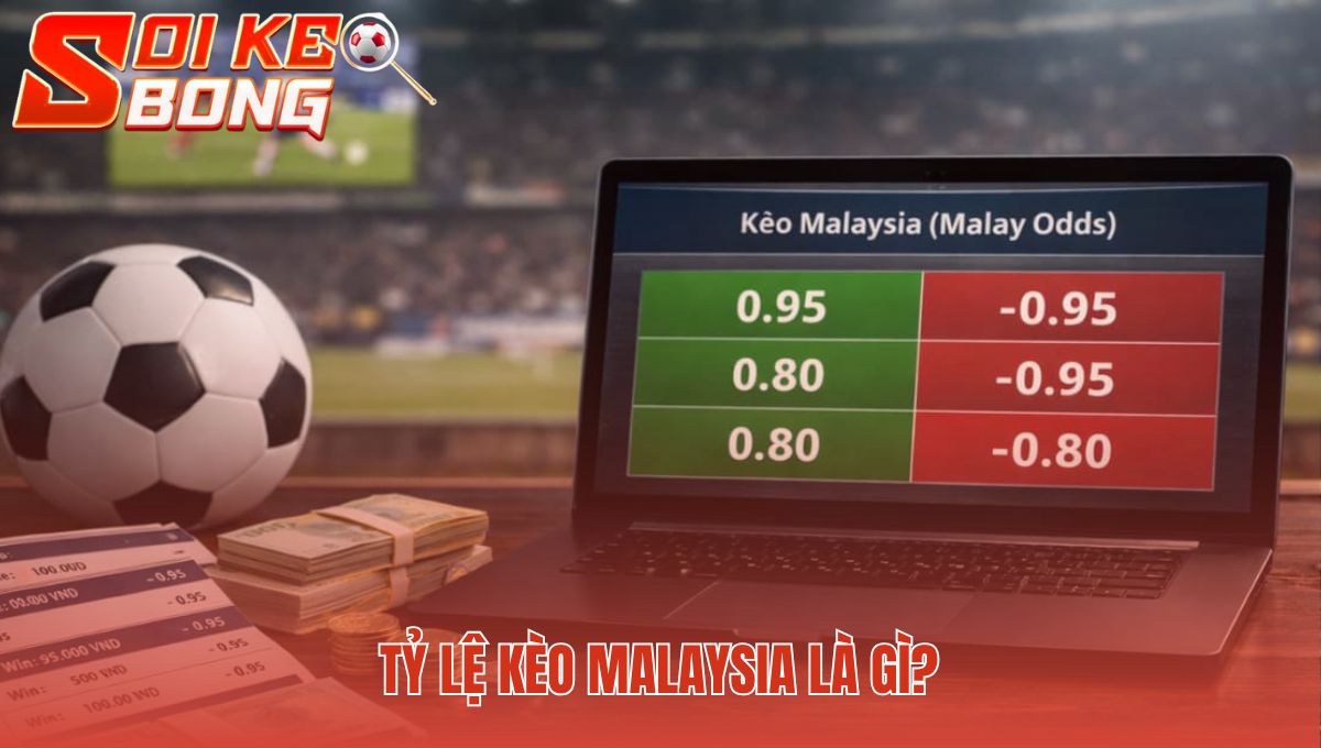 Tỷ Lệ Kèo Malaysia Là Gì - 2 Cách Đọc Odds Âm Dương 1 Tỷ lệ kèo Malaysia là gì phản ánh rủi ro qua các con số âm dương