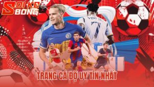 trang cá độ uy tín nhất