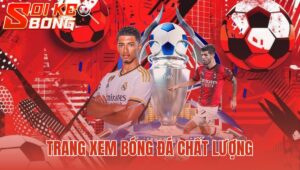 trang xem bóng đá chất lượng