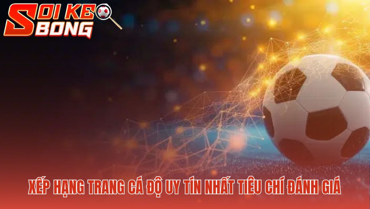 Trang Cá Độ Uy Tín Nhất - BXH Top 10 Nhà Cái Tại Soi Kèo 1 Tiêu chí đánh giá phản ánh nền tảng tạo nên sân chơi minh bạch