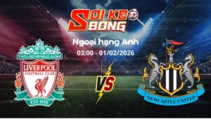 Soi kèo Liverpool vs Newcastle