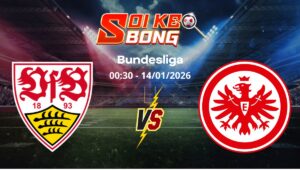 Soi kèo Stuttgart vs Frankfurt