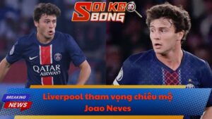 Liverpool tham vọng chiêu mộ Joao Neves