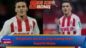 Brighton chi 52.5 triệu bảng mua Said El Mala