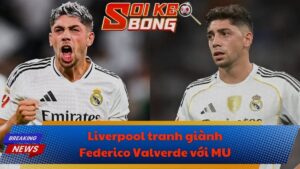 Liverpool tranh giành Federico Valverde