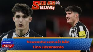 Newcastle xem xét bán Tino Livramento